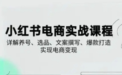 小红书从0-1实操课(2023-2025),详解养号、选品、文案撰写、爆款打造实现电商变现-苏仟云分享