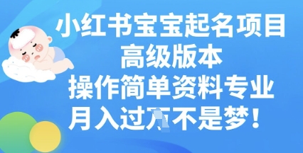 小红书宝宝起名项目高级版本，操作简单，资料专业，月入过W-苏仟云分享