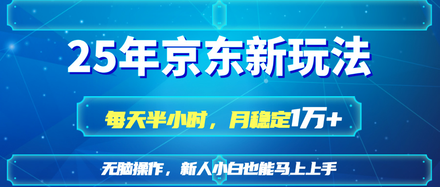 (14309期)25京东新玩法,每天半小时,月稳定1W+-苏仟云分享