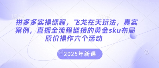 拼多多实操课程，飞龙在天玩法，真实案例，直播全流程链接的黄金sku布局原价操作六个活动-苏仟云分享