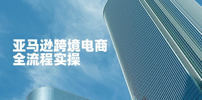 （14252期）亚马逊跨境电商全流程实操，教你从零开始，掌握店铺运营与广告技巧-苏仟云分享