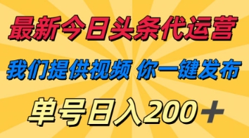 最新今日头条代运营,我们提供视频,你一键发布,单号日入200+【揭秘】-苏仟云分享
