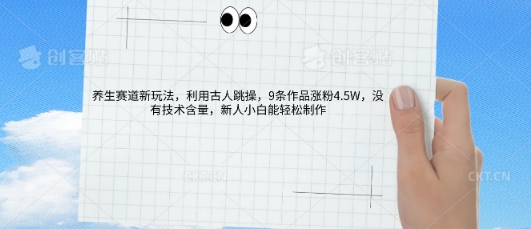 AI养生赛道新玩法，10条作品涨粉5.2W，操作简单，新人小白能轻松制作-苏仟云分享