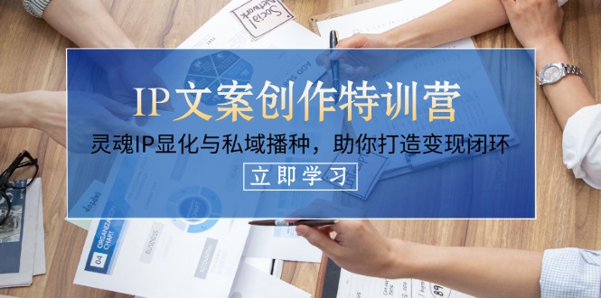 (14330期)IP文案创作特训营,灵魂IP显化与私域播种,助你打造变现闭环(14节课)-苏仟云分享
