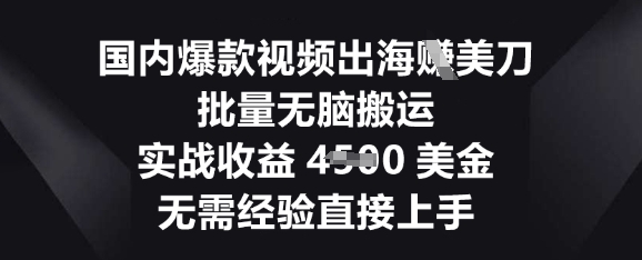 国内爆款视频出海挣美刀，批量无脑搬运，实战收益4.5k，无需经验直接上手-苏仟云分享