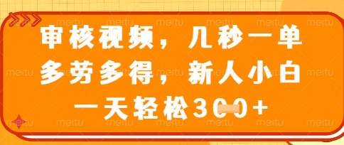 最新审核视频，几秒一单，多劳多得，新人小白一天轻松3张【揭秘】-苏仟云分享