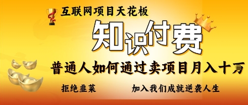 互联网项目天花板,知付付费项目,普通人如何通过卖项目月入十个,拒绝韭菜【揭秘】-苏仟云分享