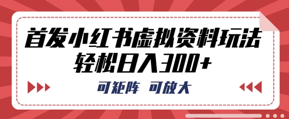 首发小红书虚拟资料玩法，可矩阵，可放大，轻松日入3张-苏仟云分享
