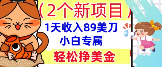 2个新项目，轻松挣美金， 1天收入89美刀，小白专属，干货分享-苏仟云分享