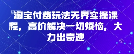 淘宝付费玩法无界实操课程，高价解决一切烦恼，大力出奇迹-苏仟云分享