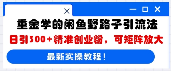 重金学的闲鱼野路子引流法，日引300+精准创业粉，可矩阵放大-苏仟云分享