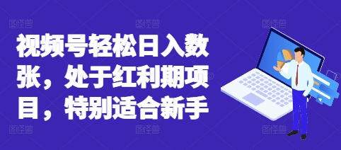 视频号轻松日入数张，处于红利期项目，特别适合新手-苏仟云分享