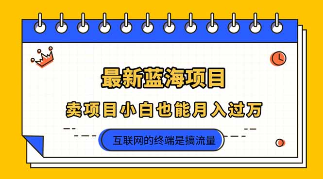 （14289期）2025年最新蓝海项目，卖项目小白也能月入过万-苏仟云分享