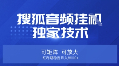 【搜狐音频挂G】独家技术，可矩阵可放大，红利期稳定月入8k【揭秘】-苏仟云分享