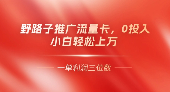 0门槛推广流量卡，一单收益上百，0投入，小白月入过W-苏仟云分享