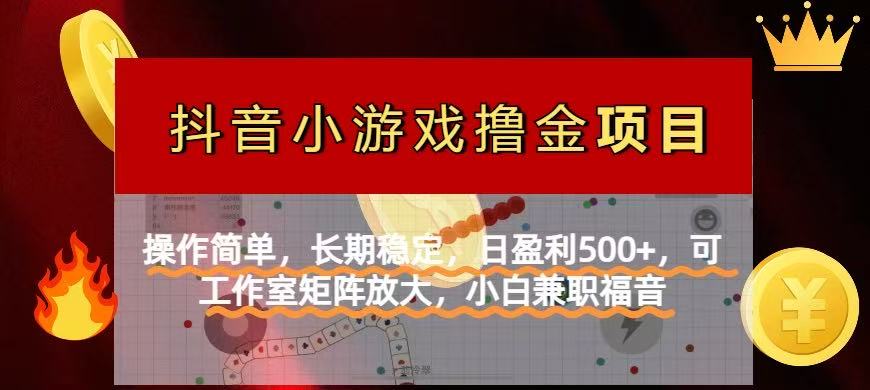 （14290期）【抖音小游戏发行人计划项目】操作简单，长期稳定，日盈利500+，可工作...-苏仟云分享