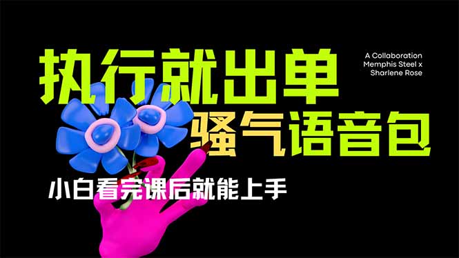 （14170期）爆火全网的开车导航骚气语音包,只要执行就出单，小白看完课程就能实操...-苏仟云分享