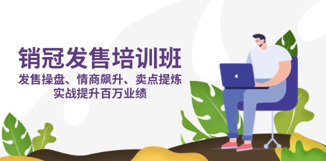 （14203期）销冠 发售培训班：发售 操盘+情商 飙升+卖点 提炼，实战提升百万业绩-苏仟云分享