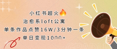 小红书超火的治愈系loft公寓，单条作品点赞16W，3分钟一条，单日变现数张-苏仟云分享