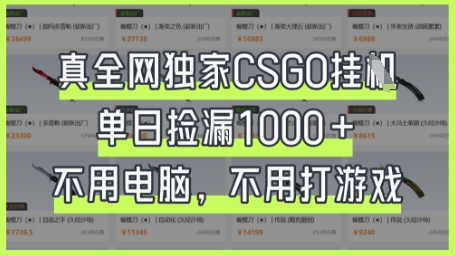 真全网独家CSGO挂G,单日捡漏1k+【揭秘】-苏仟云分享