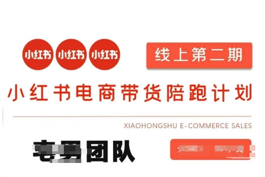 小红书电商带货课2期，月利润20个的小红书电商的有货源，无货源，虚拟产品，付费投流等整套玩法-苏仟云分享