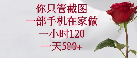 你只管截图,一部手机在家操作,一小时120.一天5张【揭秘】-苏仟云分享