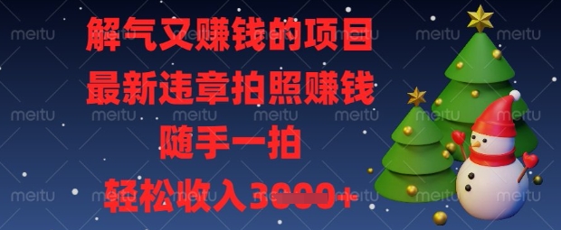 解气又挣钱的项目,最新违章拍照挣钱,随手一拍,轻松收入数张【揭秘】-苏仟云分享